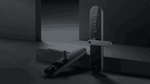 绿米联创游延筠 智能门锁行业的风口才刚刚开始